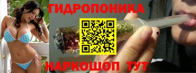 твердый Славгород