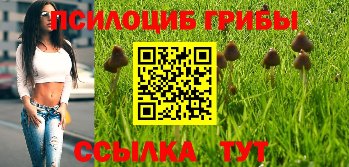 Галлюциногенные грибы прущие грибы Сатка