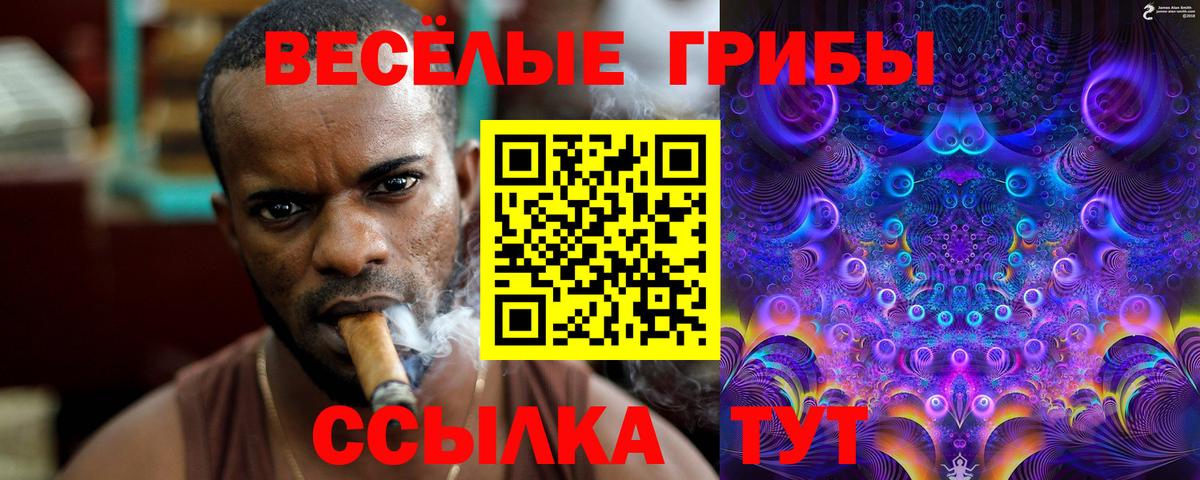 Сатка  Псилоцибиновые грибы мицелий  Вход с VPN 